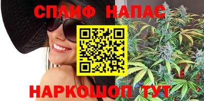 мдпв Тула
