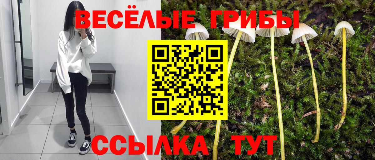 наркотики  Псилоцибиновые грибы прущие грибы  Рузаевка  Вход с VPN  Псилоцибиновые грибы Cubensis 