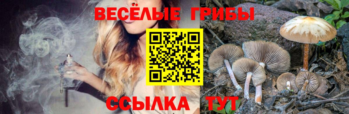 Галлюциногенные грибы MAGIC MUSHROOMS Рузаевка